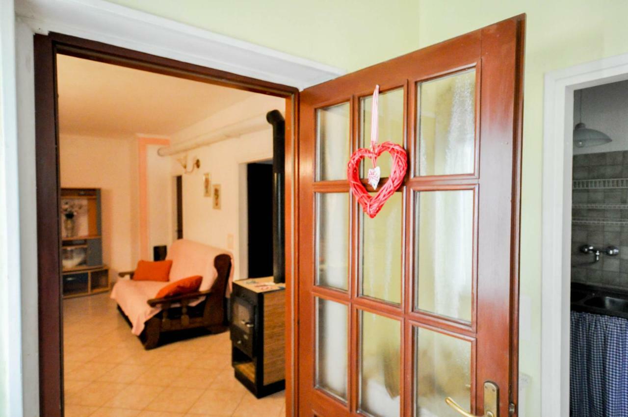 Nevija Apartment Novigrad  Exterior photo
